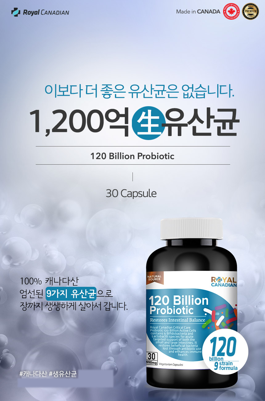 120Bil-01_065331.png