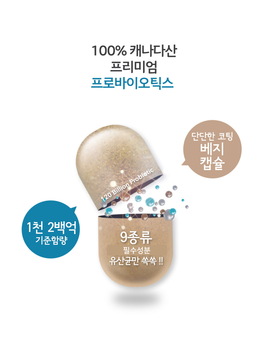 120Bil-02_065332.png