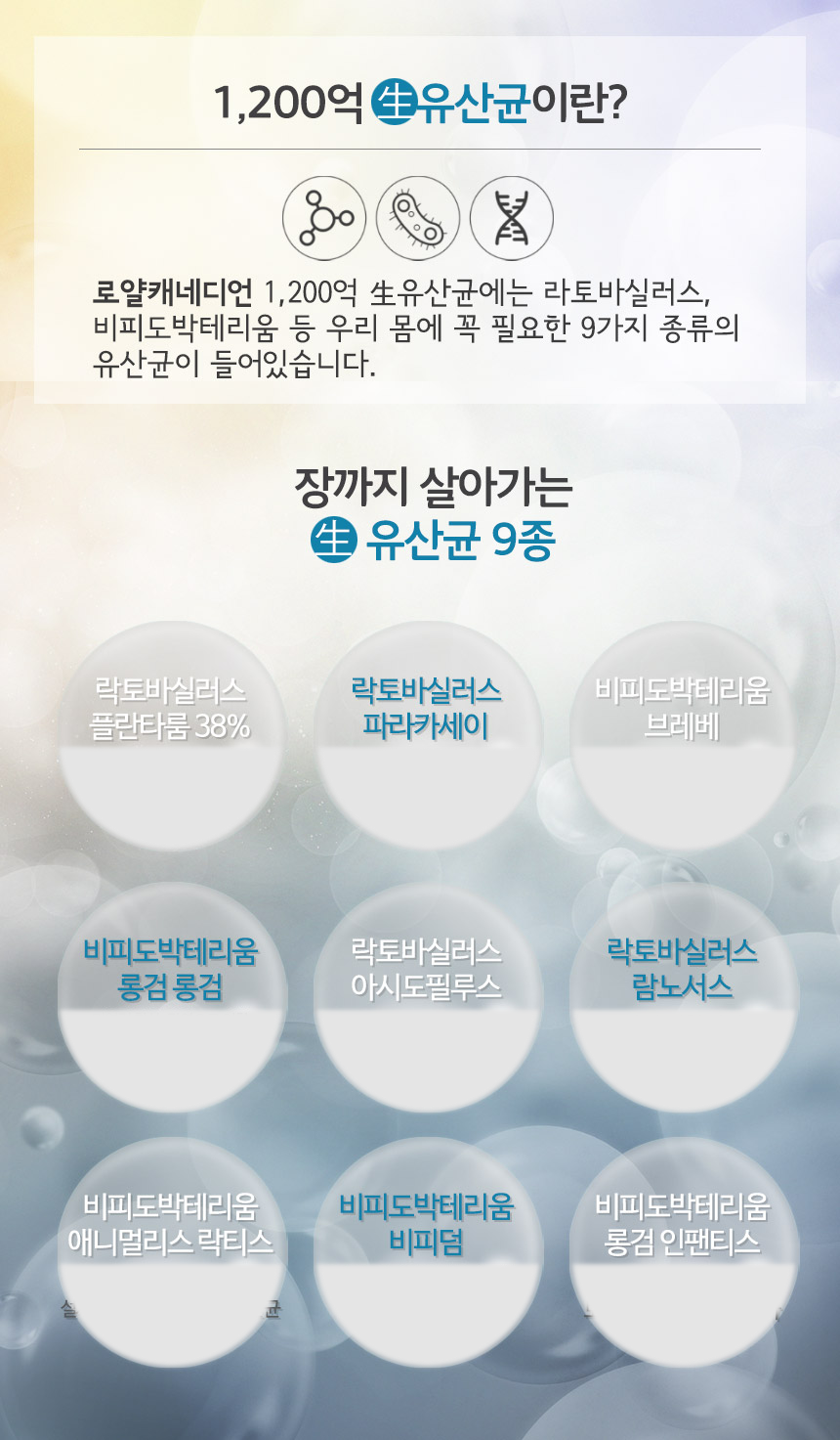 120Bil-03_065332.png